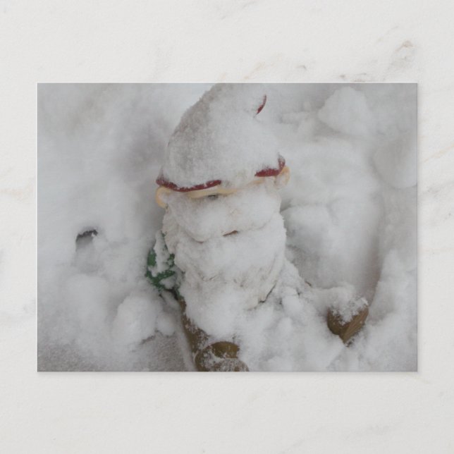 Gnome in Snow. Postcard (Front)