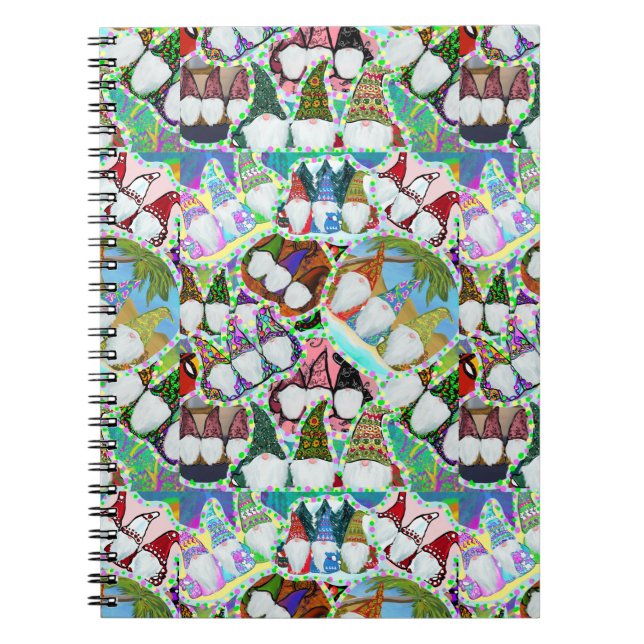 GNOME    NOTEBOOK (Front)