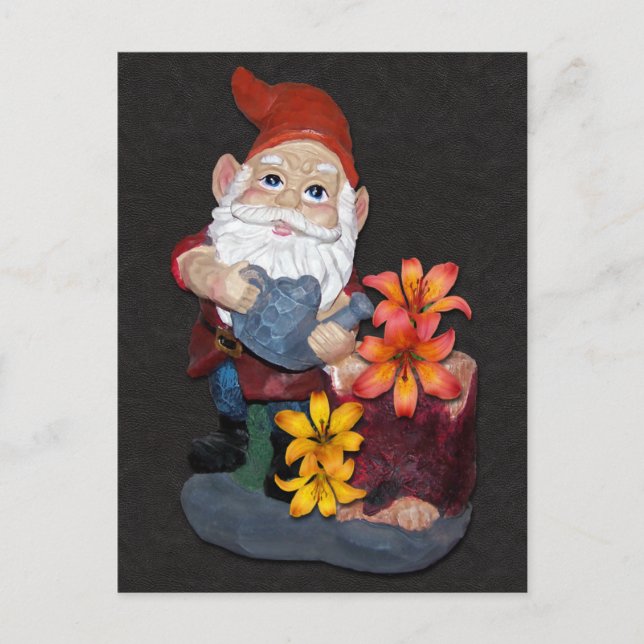 Gnome Photo Design Postcard (Front)