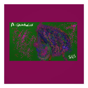 Gnome Quilted Pattern Photo Print