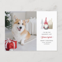 Gnome Regrets Cute Pet Photo Christmas
