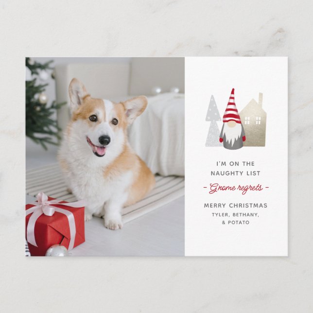 Gnome Regrets Cute Pet Photo Christmas Holiday Postcard (Front)