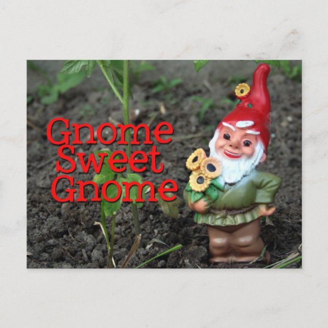 Gnome Sweet Gnome Postcard (Front)