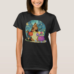 Gnome Witch Halloween Costume Pumpkin Autumn Fall T-Shirt