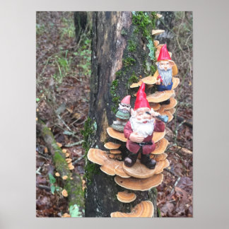 Gnomes and the turkey tail mushrooms poster