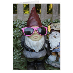 gnomies