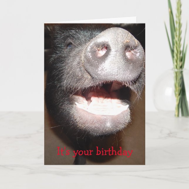 Go ahead and squeal, Pig Birthday card (Front)