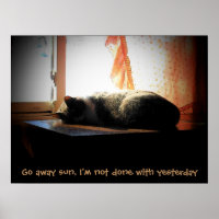 Go Away Sun - Sleeping Cat