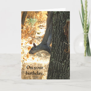Go Crazy Funny Squirrel Birthday Card