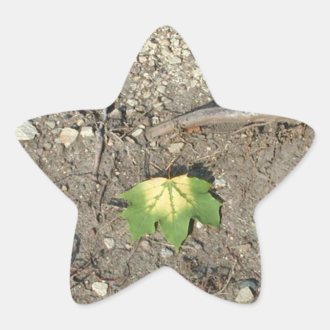 Go Green Reduce Reuse Recycle Star Sticker (Front)