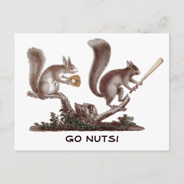 Go Nuts Rally Squirrel Greetings from St. Louis! Postcard (Front)