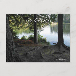 Go outside see the trees see the lake postcard