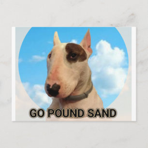 Go pound sand postcard