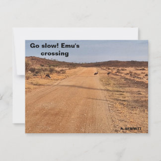 Go Slow! Postcard