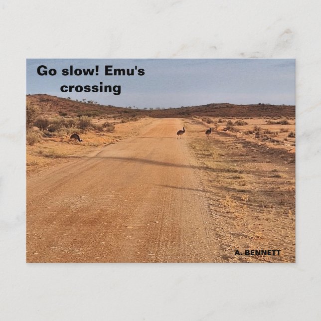 Go Slow! Postcard (Front)