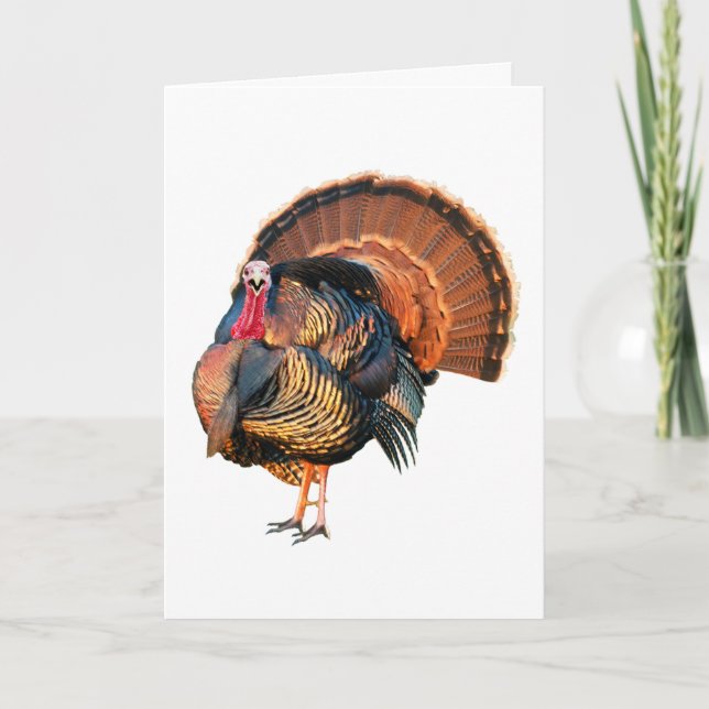 Go Stuff Yourself Holiday Card (Front)