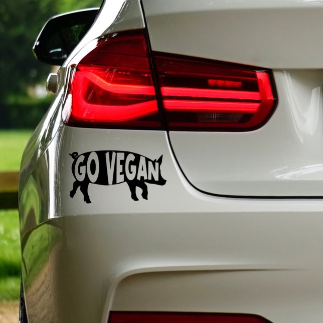 Go Vegan, Activism,  (Creator Uploaded)