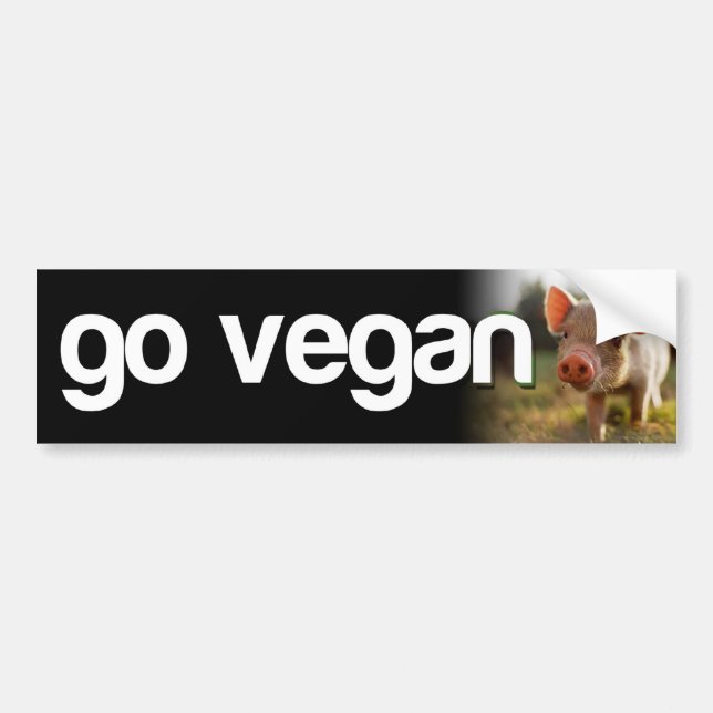 GO VEGAN - piggy Bumper Sticker (Front)