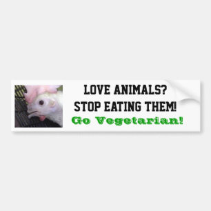 Go Vegetarian Hen Bumper Sticker