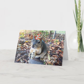 Go Wild on Your Birthday Cute Party Hat Squirrel Card