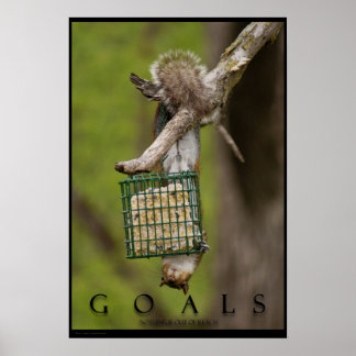 GOALS Inspirational Funny Squirrel Poster Print