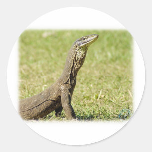 Goanna 9L36D-18 Classic Round Sticker