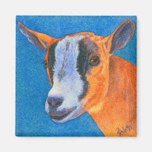 Goat #2 Magnet - Pygmy Goat