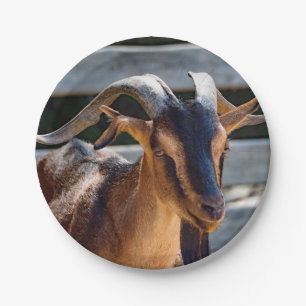 Goat 503 paper plate