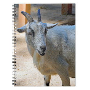 Goat 540 notebook