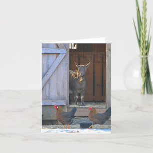 Goat and Chicken Farmyard Note Card