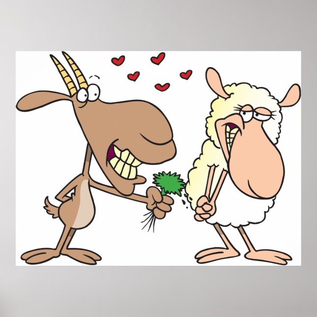 Goat And Sheep In Love Poster (Front)