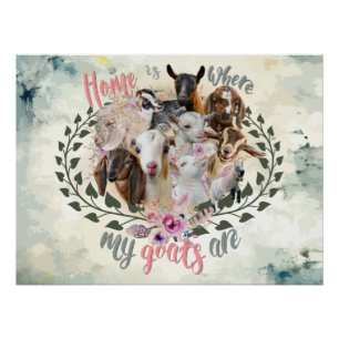 GOAT ART   Home is Where My Goats Are GetYerGoat Poster