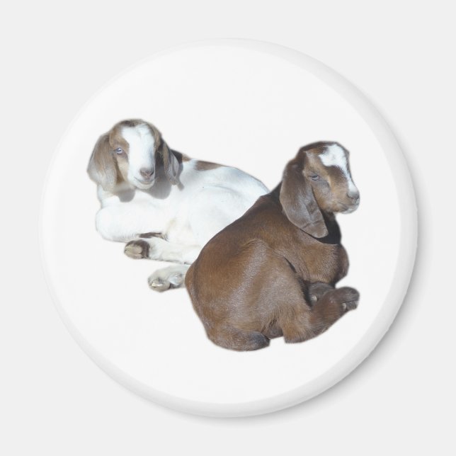 Goat baby magnet (Front)