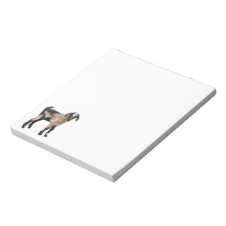 Goat baby note pad