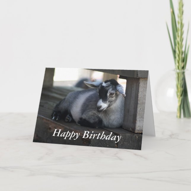 Goat Birthday Card (Front)