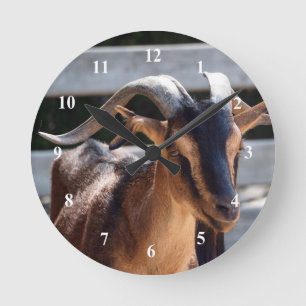 Goat Black Brown Horns Animal Photo Round Clock