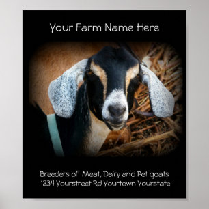 Goat Breeder Business Poster