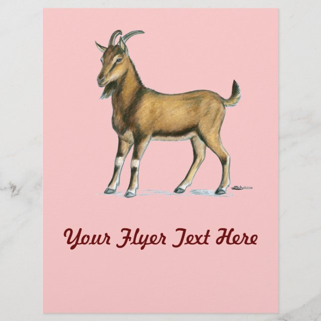 Goat:  Brown Flyer (Front)