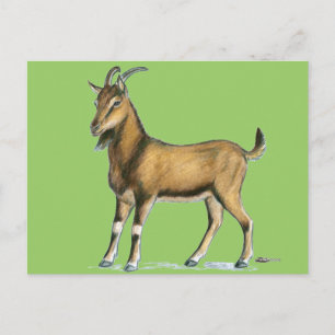 Goat: Brown Postcard