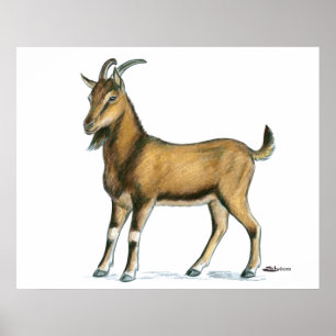 Goat:  Brown Poster