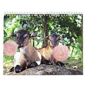 GOAT Bubblegum Watercolor Painting Goat Calendar