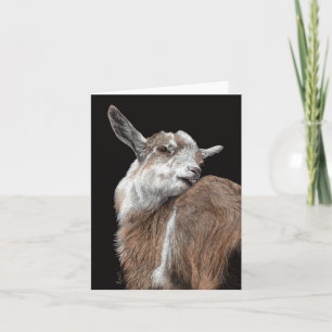 Goat Card - "Itchy Kid"