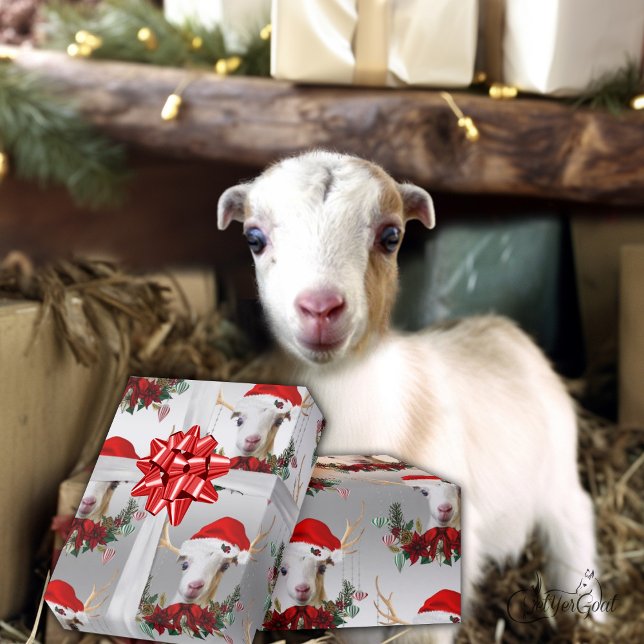 Goat Christmas Adorable LaMancha Kid in Antlers  Wrapping Paper (Creator Uploaded)
