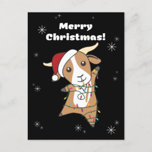 Goat Christmas Goats Winter Animals Holiday Postcard
