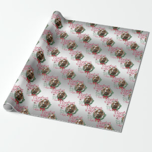 GOAT   Christmas Wishes Baby Goat Kisses Boer Wrapping Paper