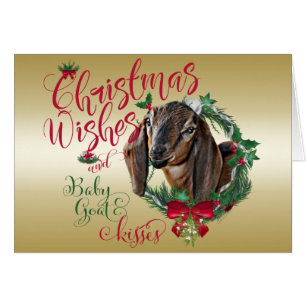 GOAT Christmas Wishes Baby Goat Kisses Nubian 3