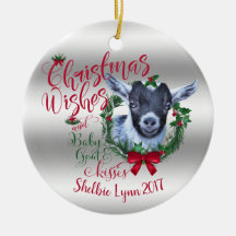 GOAT | Christmas Wishes Baby Goat Kisses Pygmy