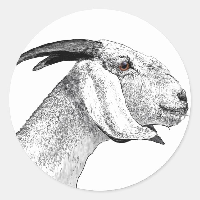 GOAT CLASSIC ROUND STICKER (Front)