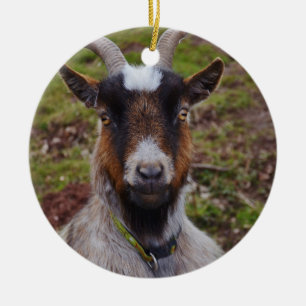 Goat close up. ceramic ornament