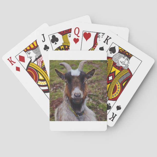Goat close up. playing cards (Back)